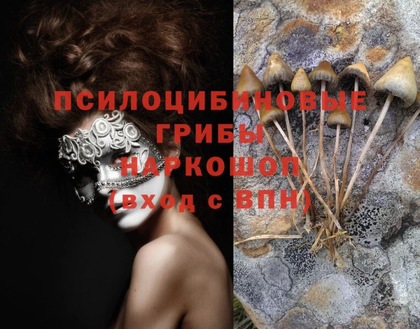 гашиш Арсеньев