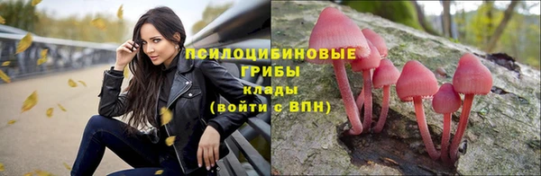 ALPHA PVP Алексеевка