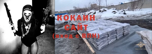 тгк Алексин