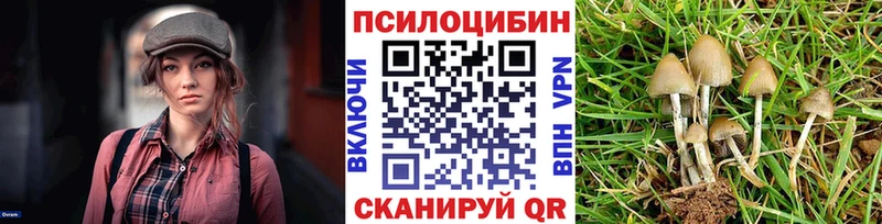 Галлюциногенные грибы Psilocybine cubensis Сарапул